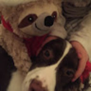 Meet your Posher, Heidi